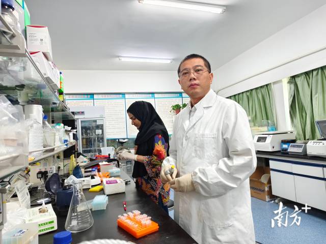常海龙在实验室进行分子鉴定实验。受访者供图